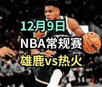 热火队在东部还是西部