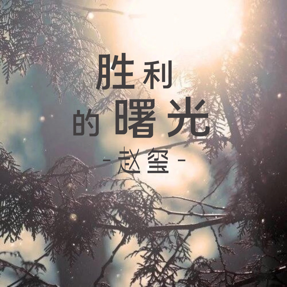 半岛体育下载-广州富力阵容