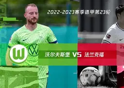沃尔夫斯堡青训