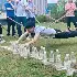 用团队力量获取成功